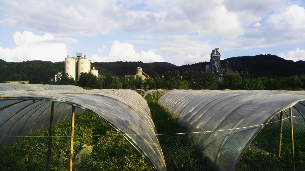 中国·yl23455永利(集团)有限公司-官方网站