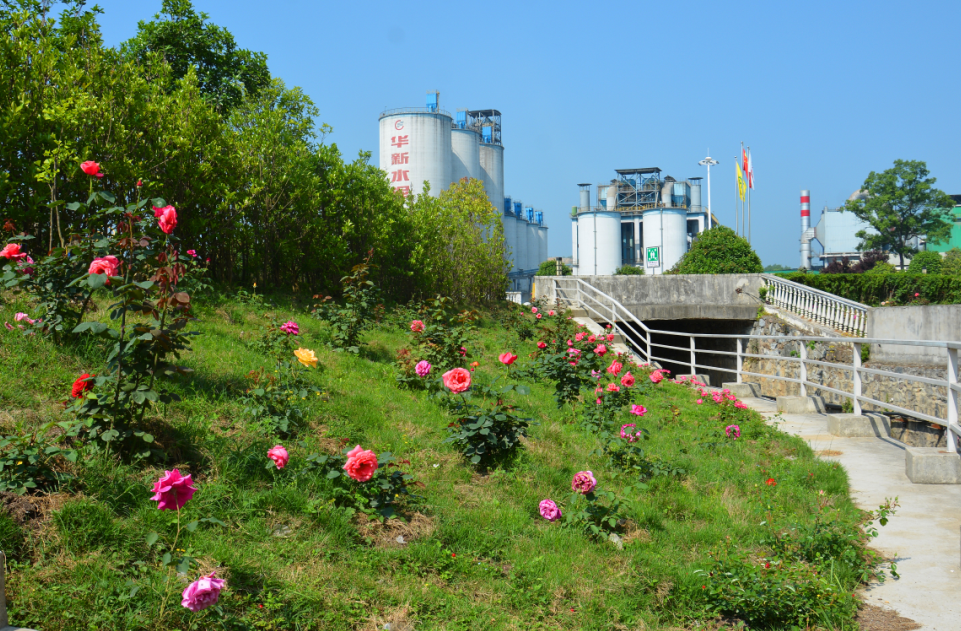 中国·yl23455永利(集团)有限公司-官方网站